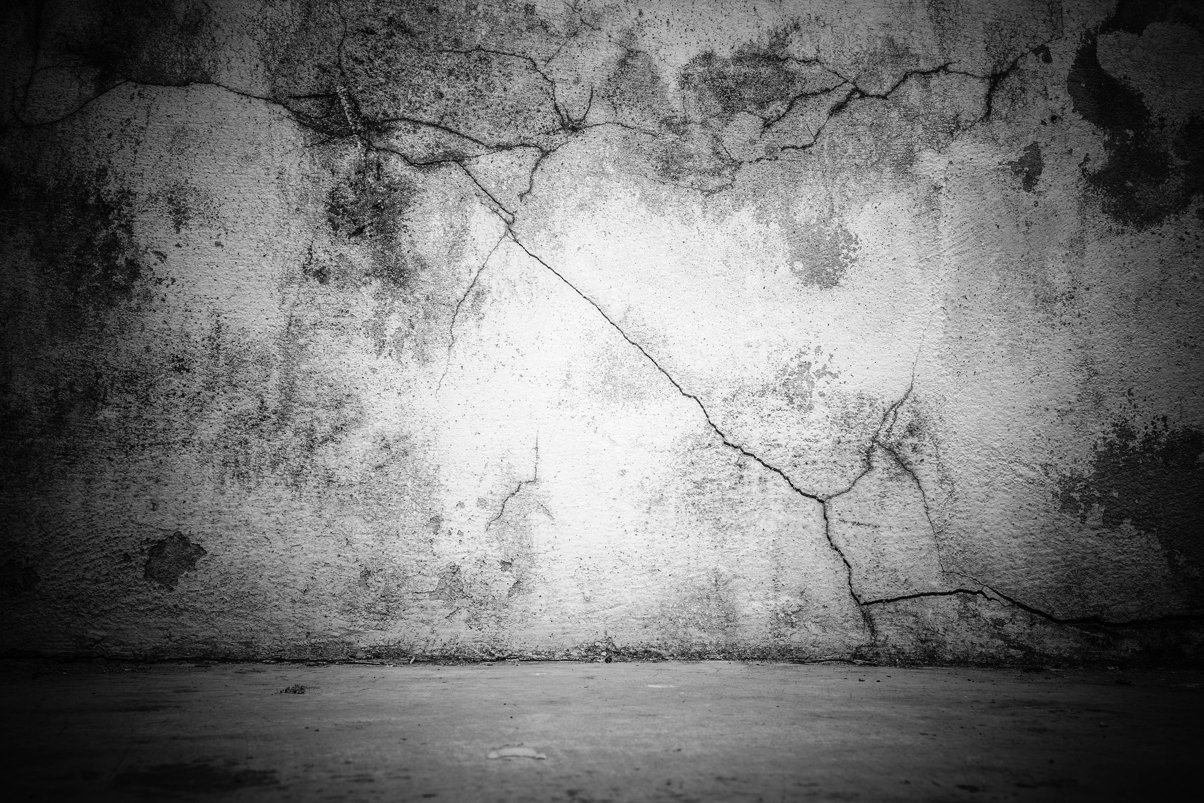 The walls a dark background